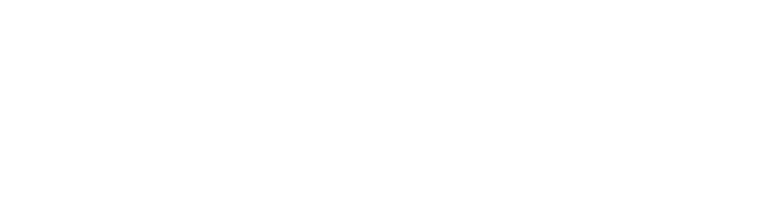 Telesto Company logo